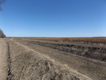 341_mungindi_cotton_irrigation_dscf4218.jpg