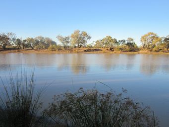 341_noccundra_camp_img_5170s.jpg