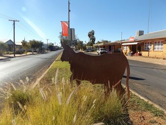 341_quilpie_dscf3997s.jpg