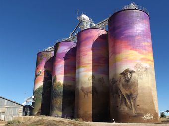 341_thallon_silos_dscf4177c.jpg