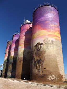 341_thallon_silos_dscf4187c.jpg