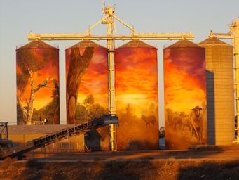 341_thallon_silos_dscf4192.jpg