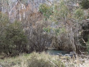 341_borenore_cave_dscf5780.jpg