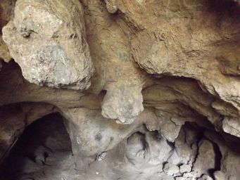 341_borenore_cave_dscf5809.jpg