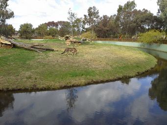 341_cheetah_enclosure_114427.jpg