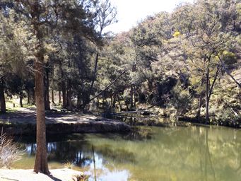 341_creek_pool_by_picnic_area_dscf5966.jpg