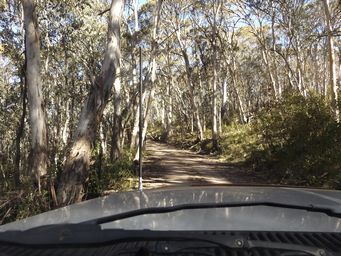 341_driving_through_to_mount_k_dscf5207.jpg