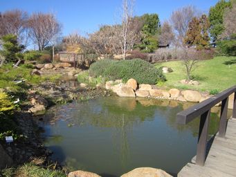 341_japanese_gardens_img_5559.jpg