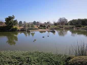 341_japanese_gardens_img_5560.jpg