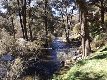 341_lewis_ponds_creek_dscf5898.jpg