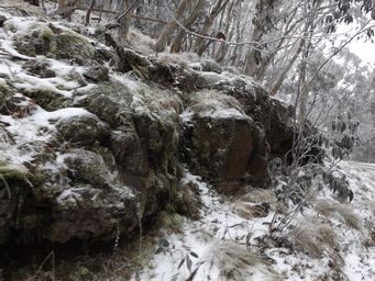 341_mount_canobolas_snow_dscf5708c.jpg