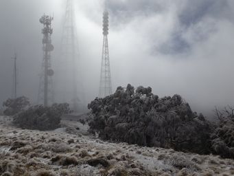 341_mount_canobolas_snow_dscf5716.jpg