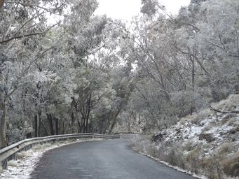 341_mount_canobolas_snow_dscf5740.jpg