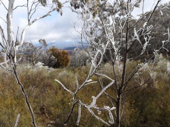 341_mount_canobolas_snow_dscf5762c.jpg