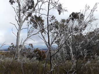 341_mount_canobolas_vista_dscf5760c.jpg