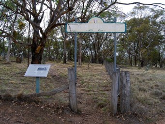 341_ophir_cemetery_sc.jpg