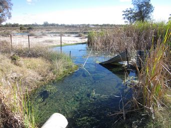 341_pillaga_discharge_into_creek_img_5263.jpg
