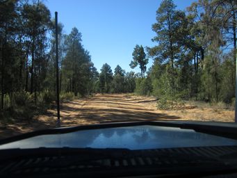 341_pilliga_1_break_road_img_5270.jpg