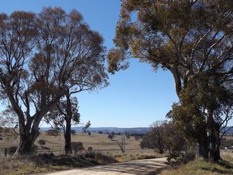 341_road_to_ophir_dscf5885.jpg