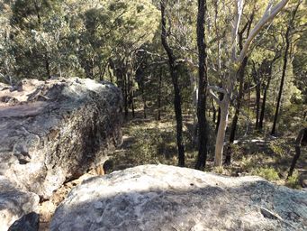 341_spirey_view_lookout_dscf5012.jpg