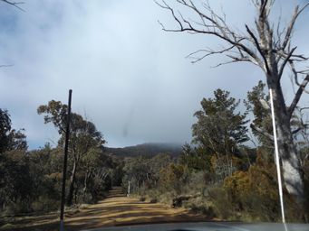 341_to_mount_canobolas_dscf5697.jpg