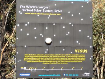 341_venus_dscf4949c.jpg