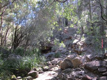 341_waa_gorge_walk_img_5444.jpg