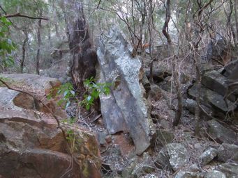 341_waa_gorge_walk_img_5445.jpg