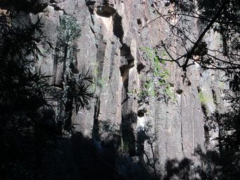 341_waa_gorge_walk_img_5451.jpg