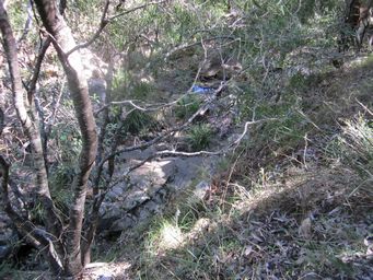 341_waa_gorge_walk_img_5453.jpg