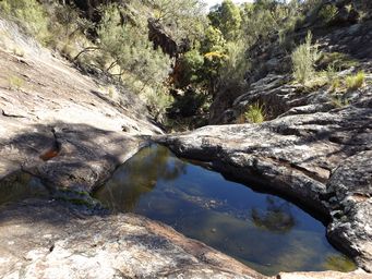 341_waa_pools_dscf5133.jpg