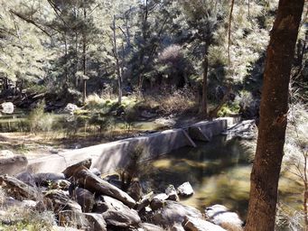 341_weir_on_creek_at_ophir_dscf5967.jpg