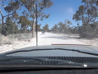 341_white_roads_dscf4419.jpg
