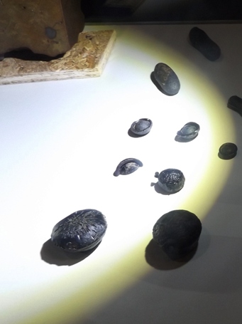 455_tecktites_dscf4945c.jpg