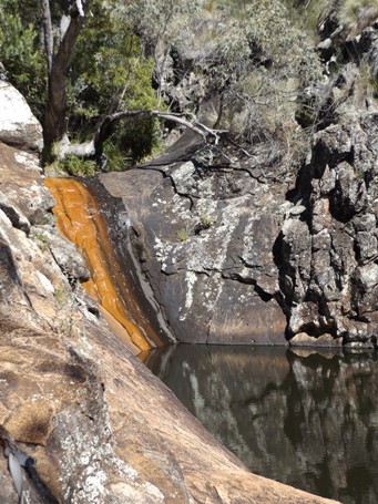 455_waa_pools_dscf5130.jpg