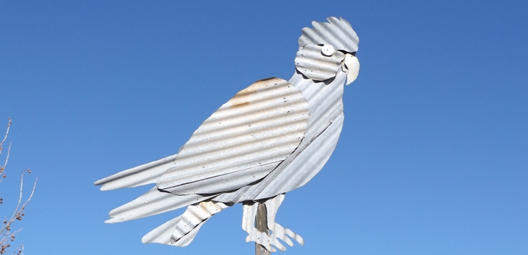 750_banner_galah_dscf5047.jpg