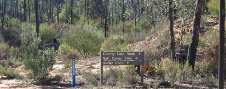 750_banner_rocky_road_to_salt_caves_img_5276.jpg