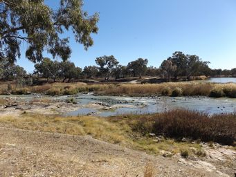 341_brewarrina_fish_traps_dscf6374.jpg