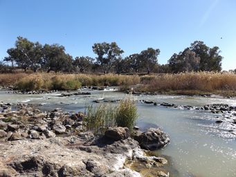 Brewarrina Aboriginal Fish Traps - Wikipedia