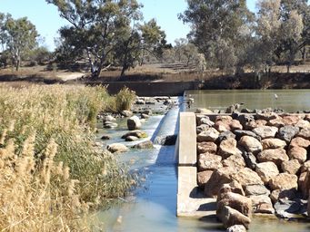 Brewarrina Aboriginal Fish Traps - Wikipedia