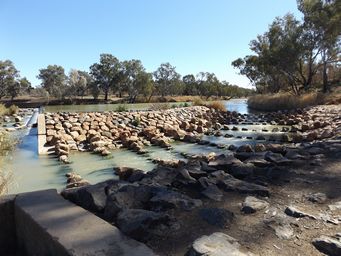 341_brewarrina_weir_fishway_dscf6388.jpg