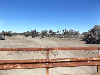 341_bridge_over_paroo_river_dscf6760a.jpg