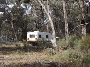 341_bush_camp_old_quarry_dscf6035.jpg