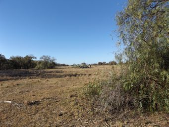 341_canonba_former_townsite_dscf6289.jpg