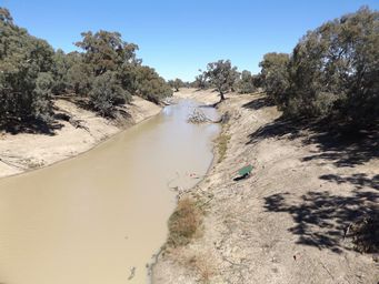 341_darling_downstream_at_tilpa_dscf6737a.jpg