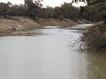 341_darling_river_dscf6685.jpg