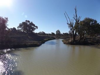 341_darling_river_north_bourke_dscf6539.jpg