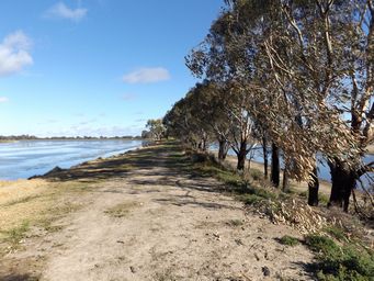341_gum_bend_lake_circuit_dscf6165.jpg