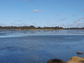 341_gum_bend_lake_island_dscf6164.jpg