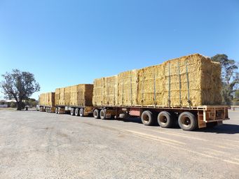 341_hay_at_north_bourke_dscf6411.jpg